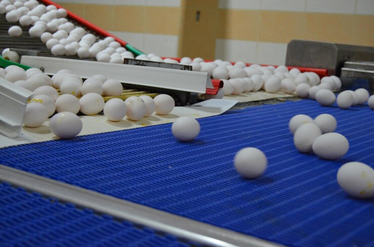 Padel ball in dubai